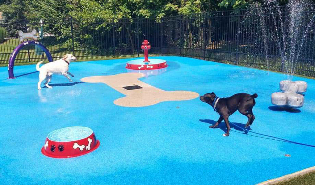 dogs splash pad